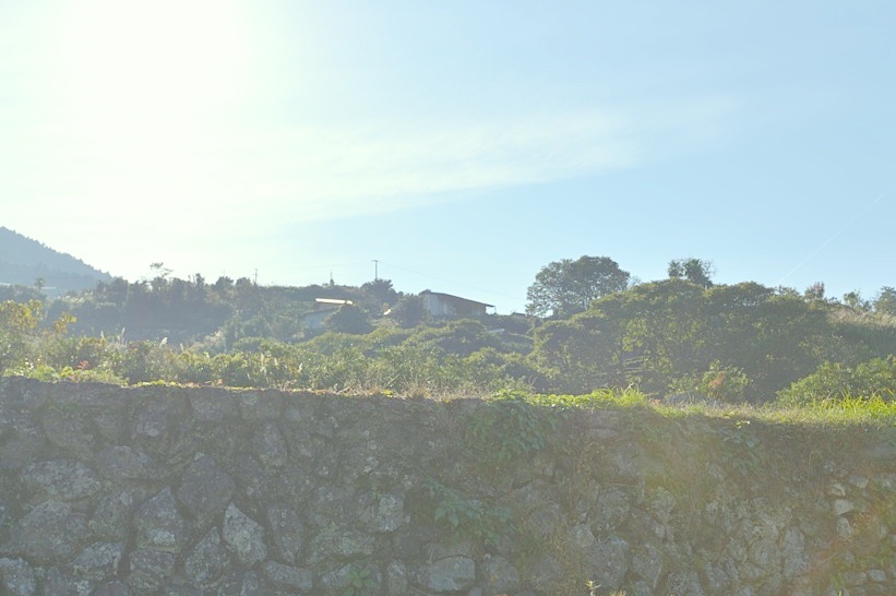 徳島県神山町