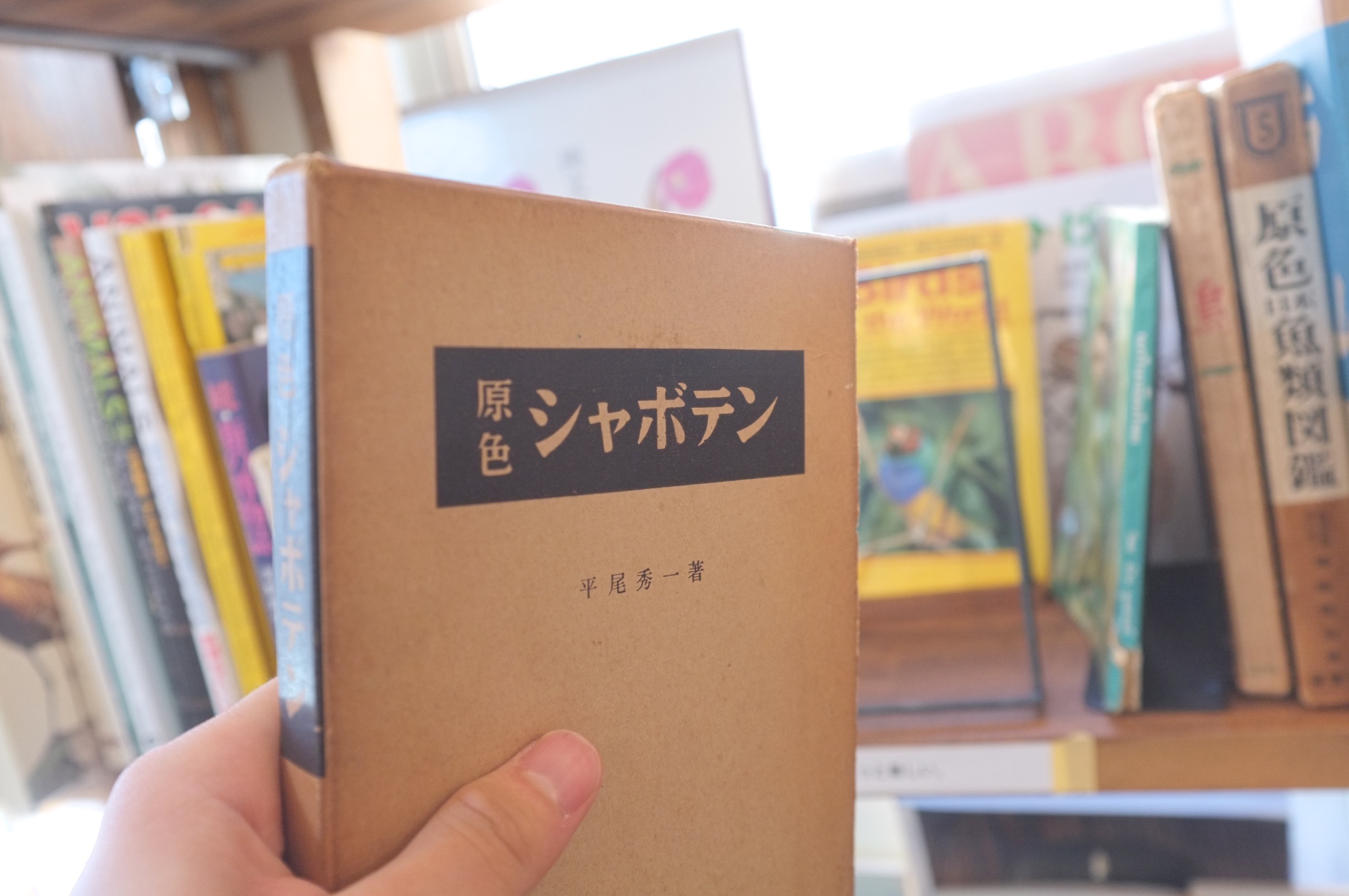 booksmoblo