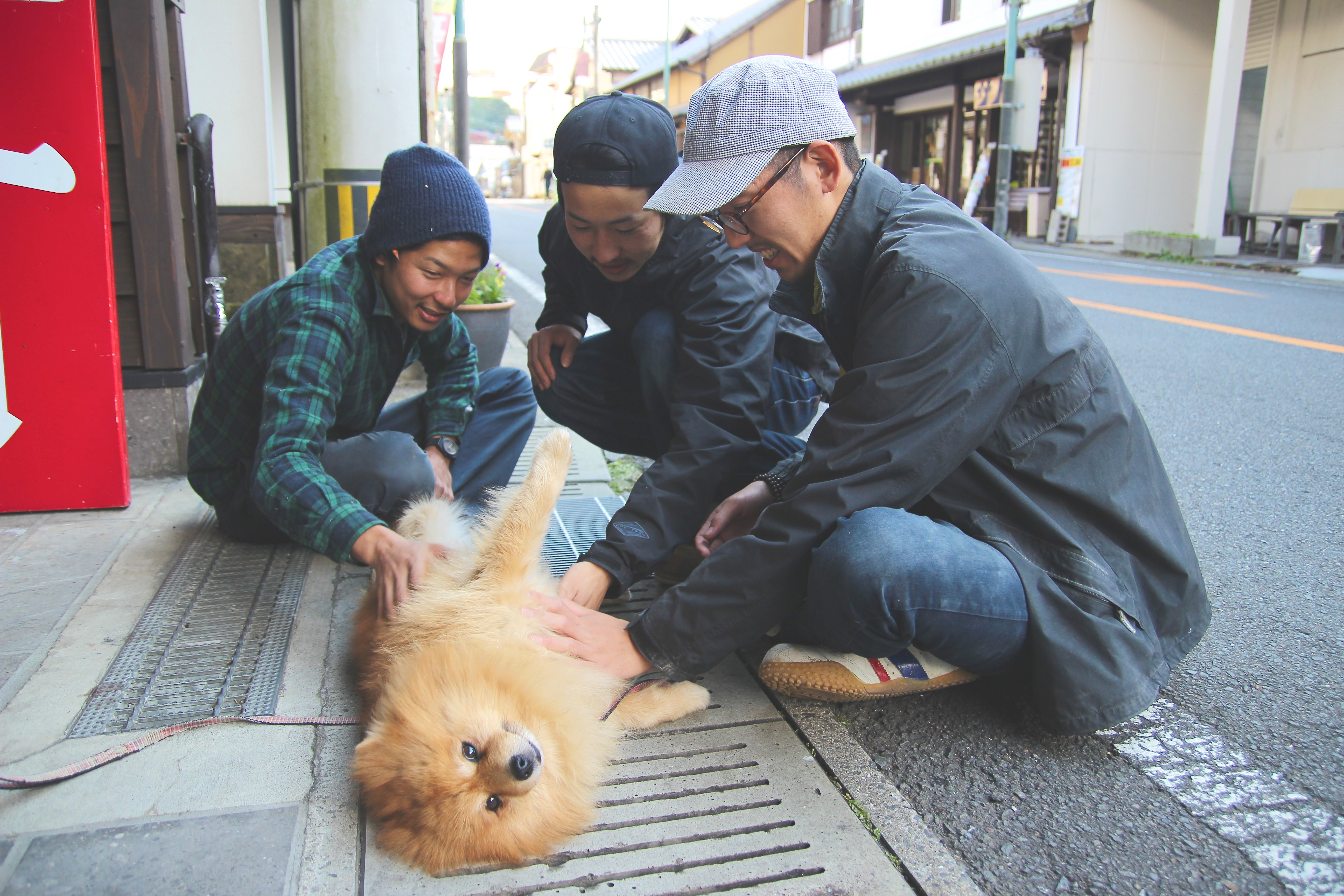 tokushima-kamiyama-young-leaders