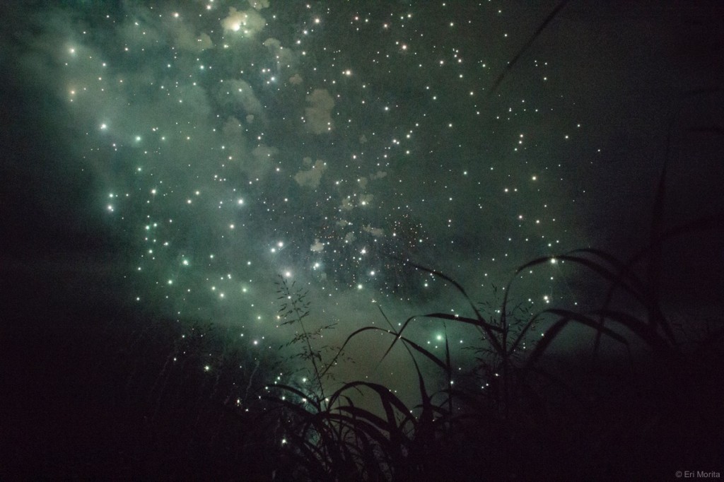 夜空に飛びちる花火、熊本、2012