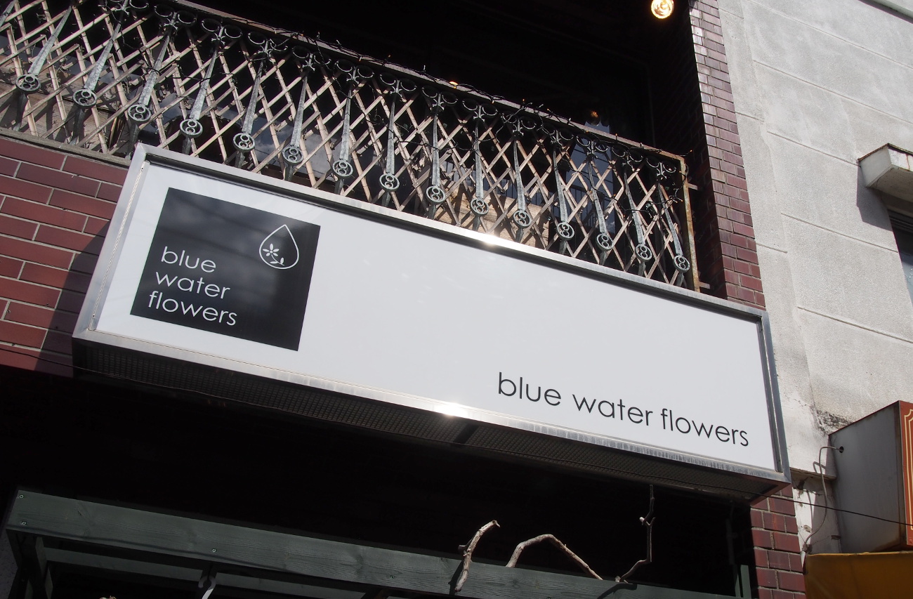 blue water flowers, 西荻窪