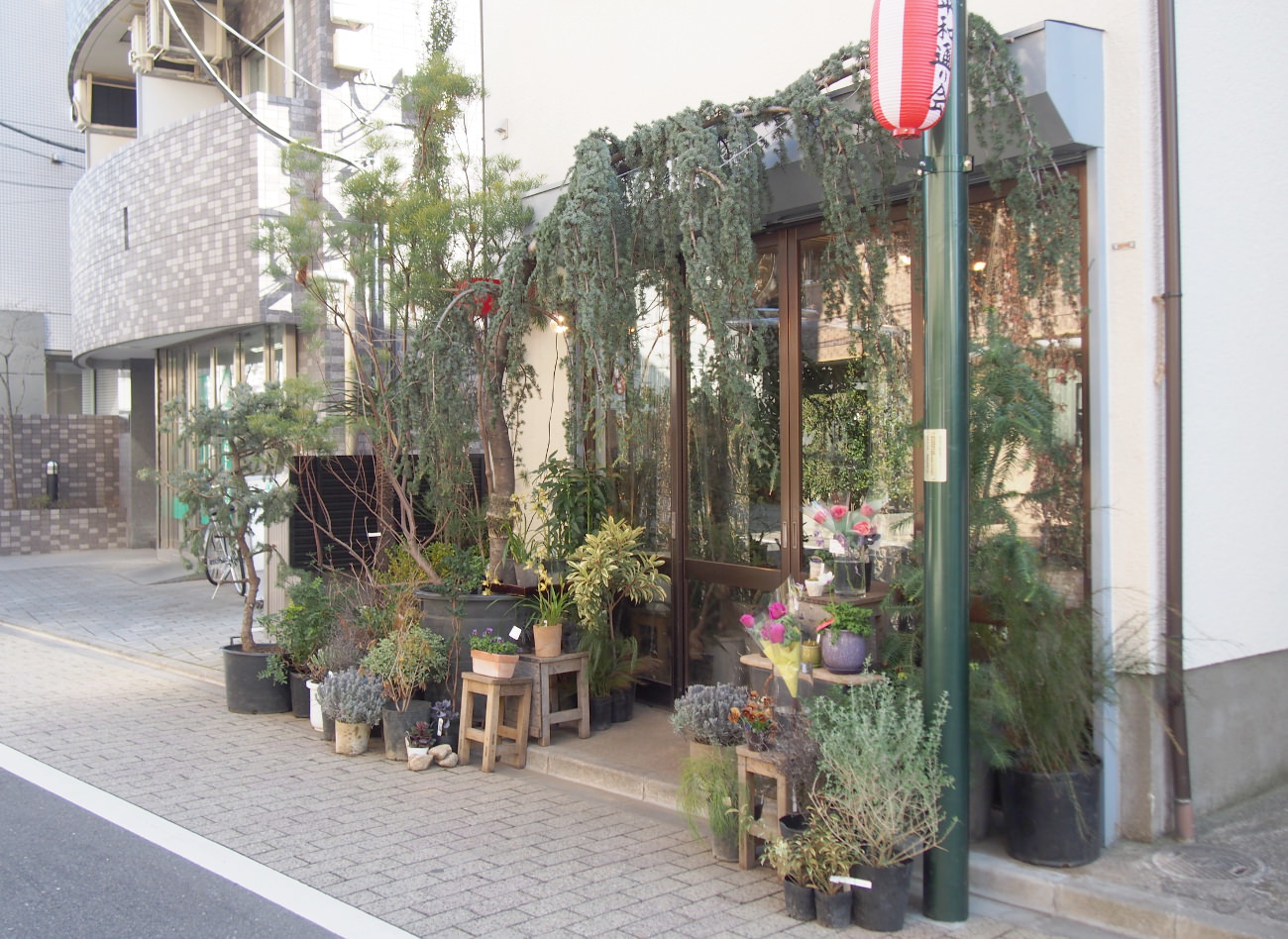 枝屋