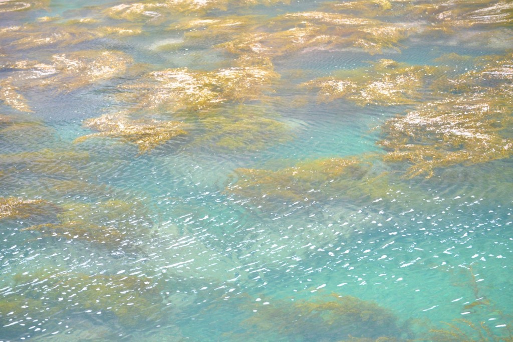 海士町の海