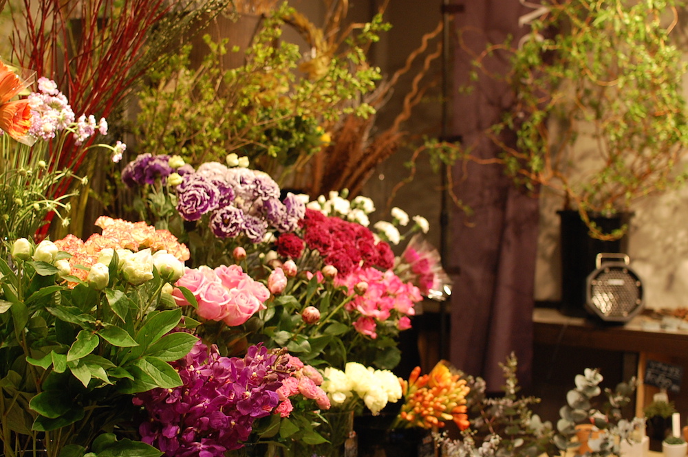 FLORAISONの中にならぶ花々