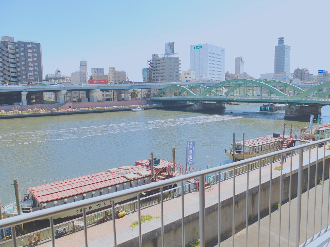 salviaのアトリエから見える隅田川