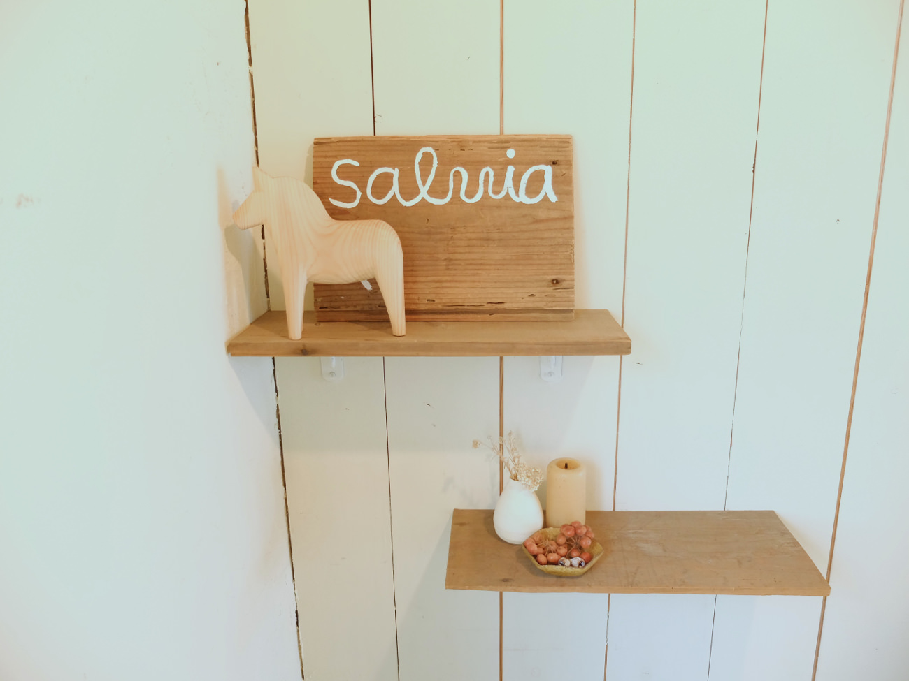 Salvia, 蔵前