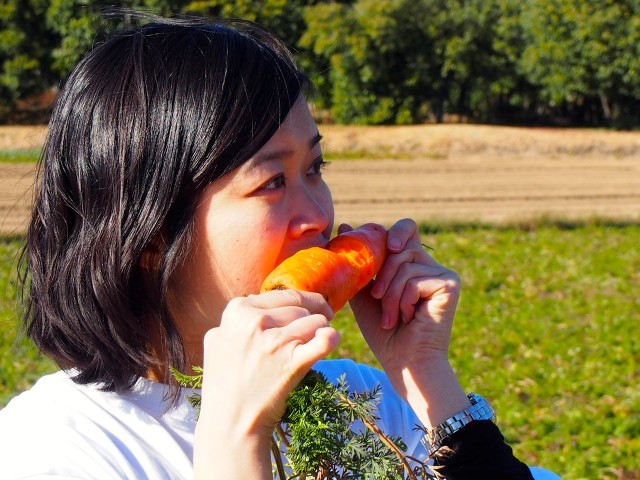 有機栽培で有名な綾町 人参が美味しすぎてウサギに!?|宮崎てげてげ通信 より
