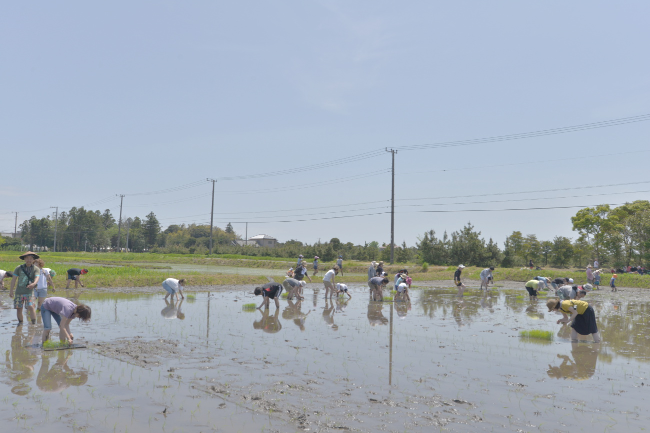 広々田んぼ