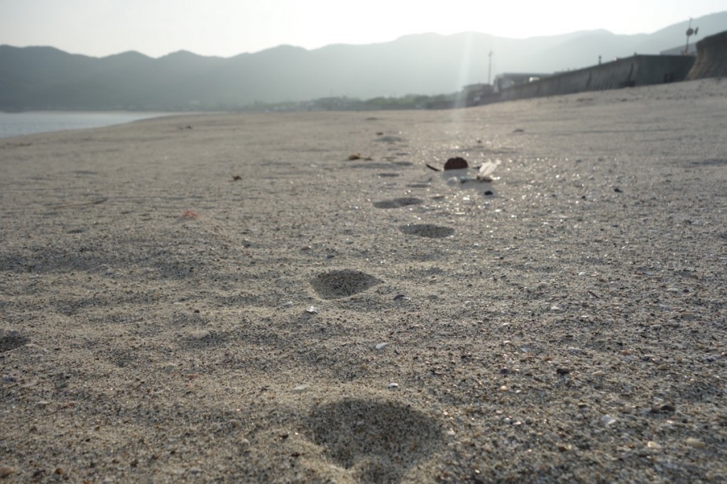 下甑島の砂浜