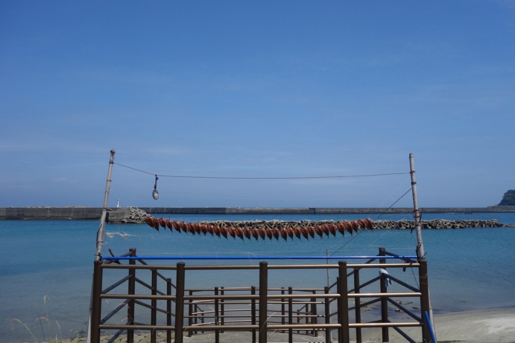 下甑島で魚を日干ししている様子