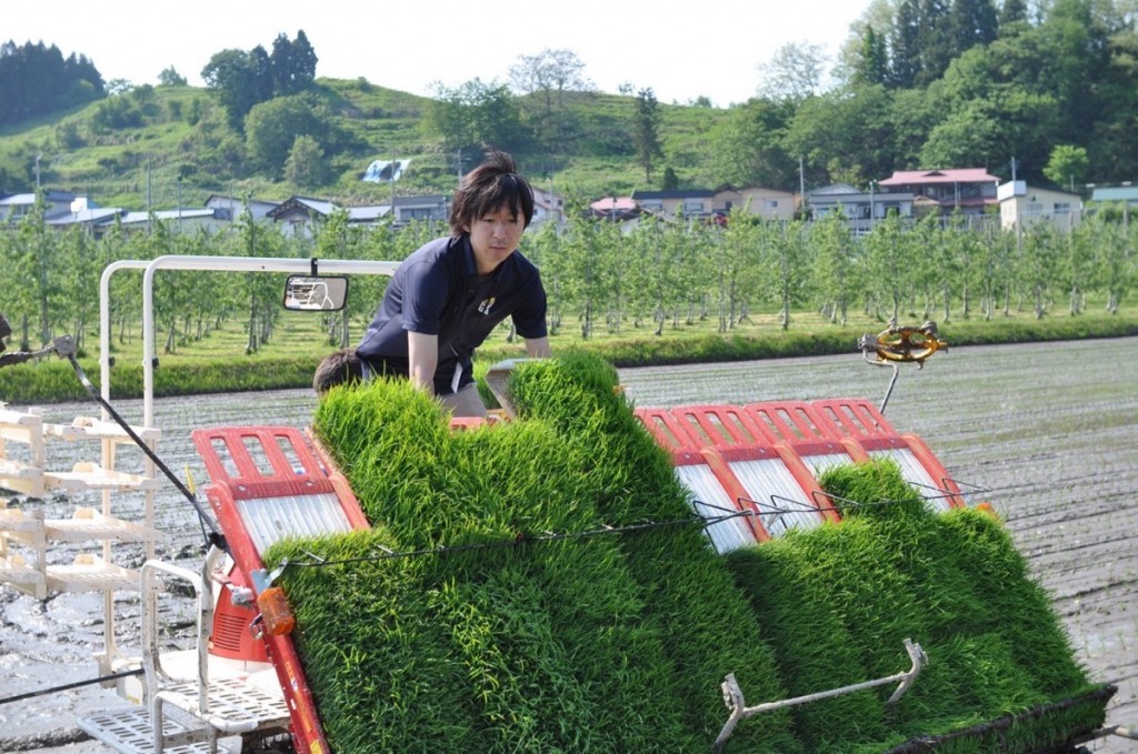 田植え機で田んぼを駆け回る