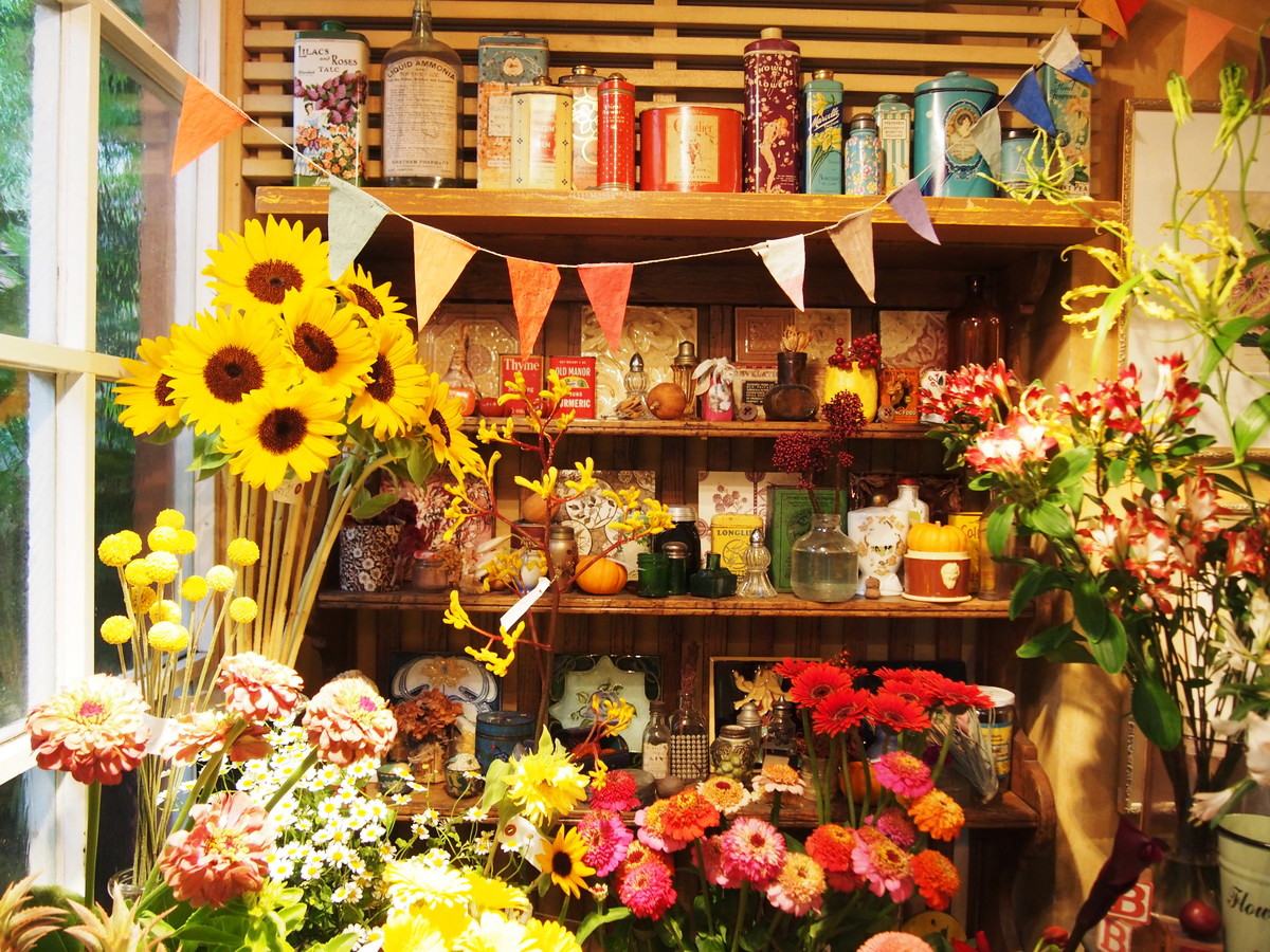COUNTRY HARVEST
