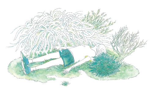 Transparent melancholy