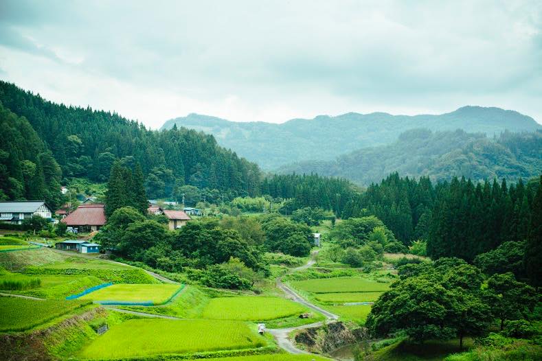 信級の風景