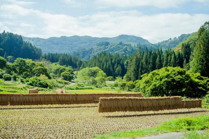 信級の風景
