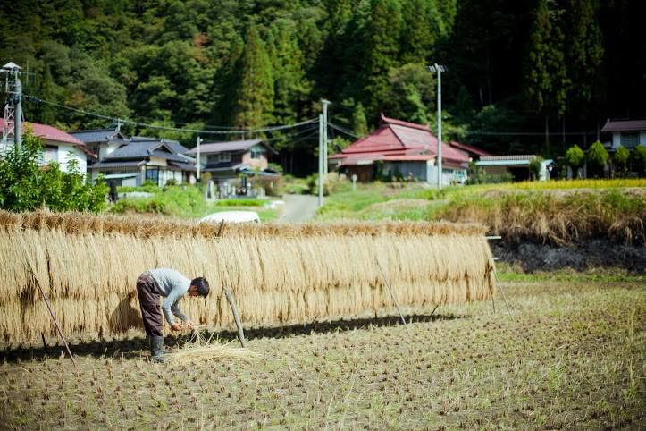 信級の風景