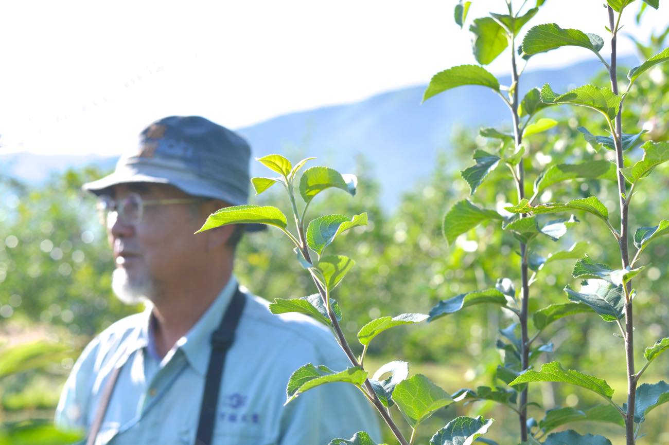 佐々木悦雄さん