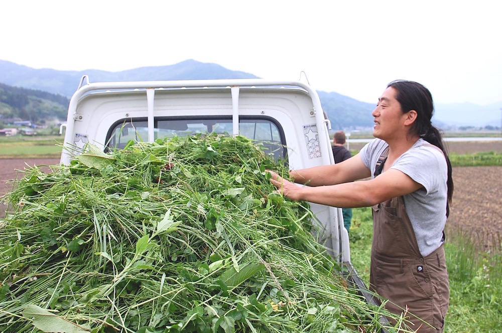 除草をしながら馬のえさを作る伊勢崎さんの様子
