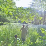 岩手県遠野市馬耕の森