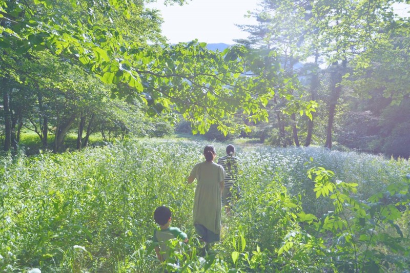 岩手県遠野市馬耕の森
