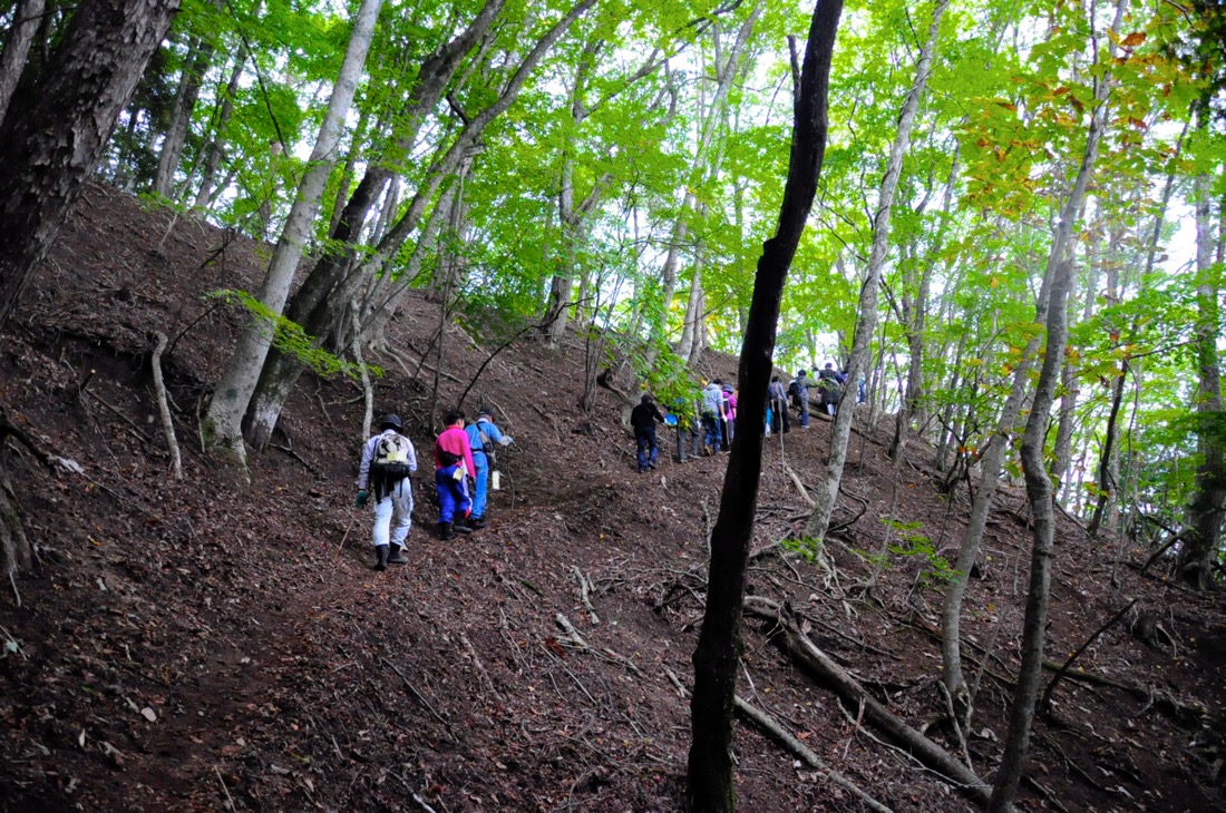 長野県天龍村