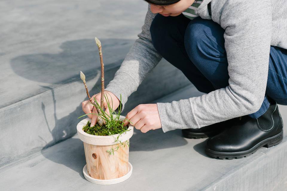 「TIMBER POT」