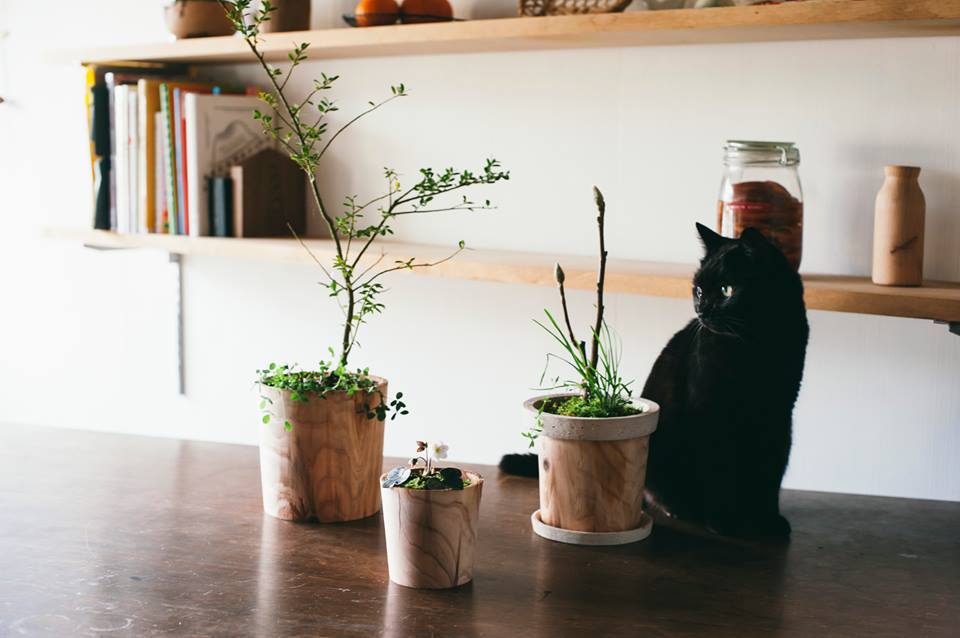 「TIMBER POT」