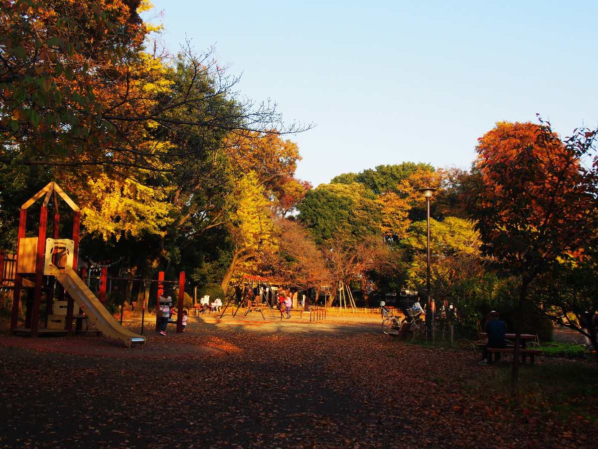 善福寺公園