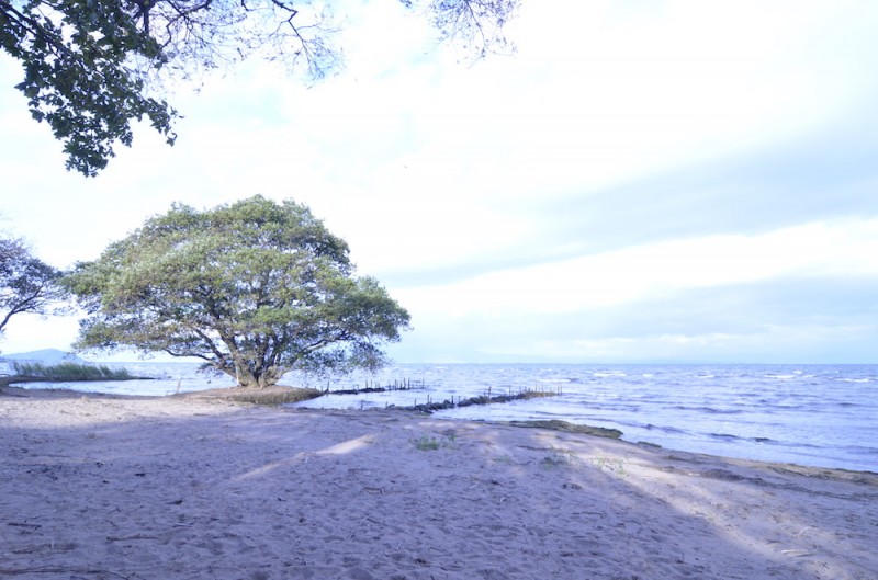 琵琶湖のようす