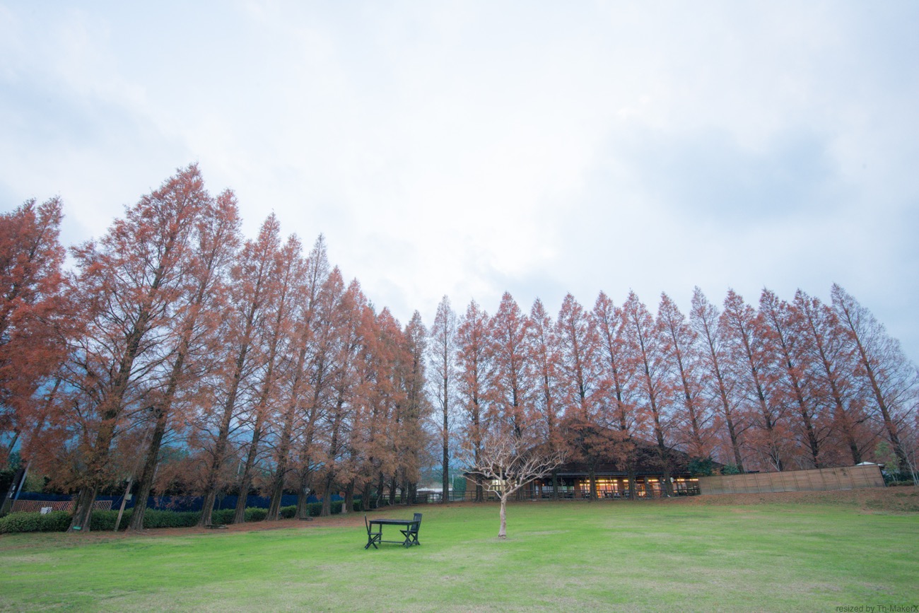 生駒高原