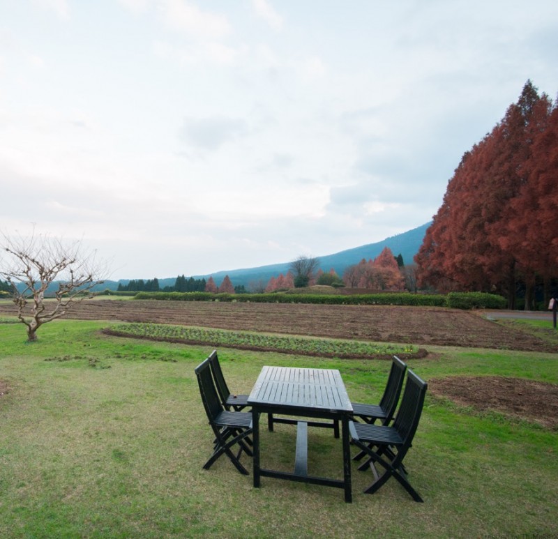 宮崎県小林市の生駒高原にて 宮崎県小林市の生駒高原にて