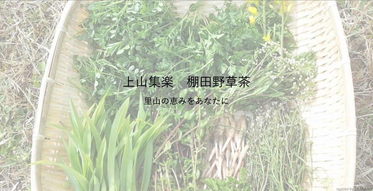 野草茶