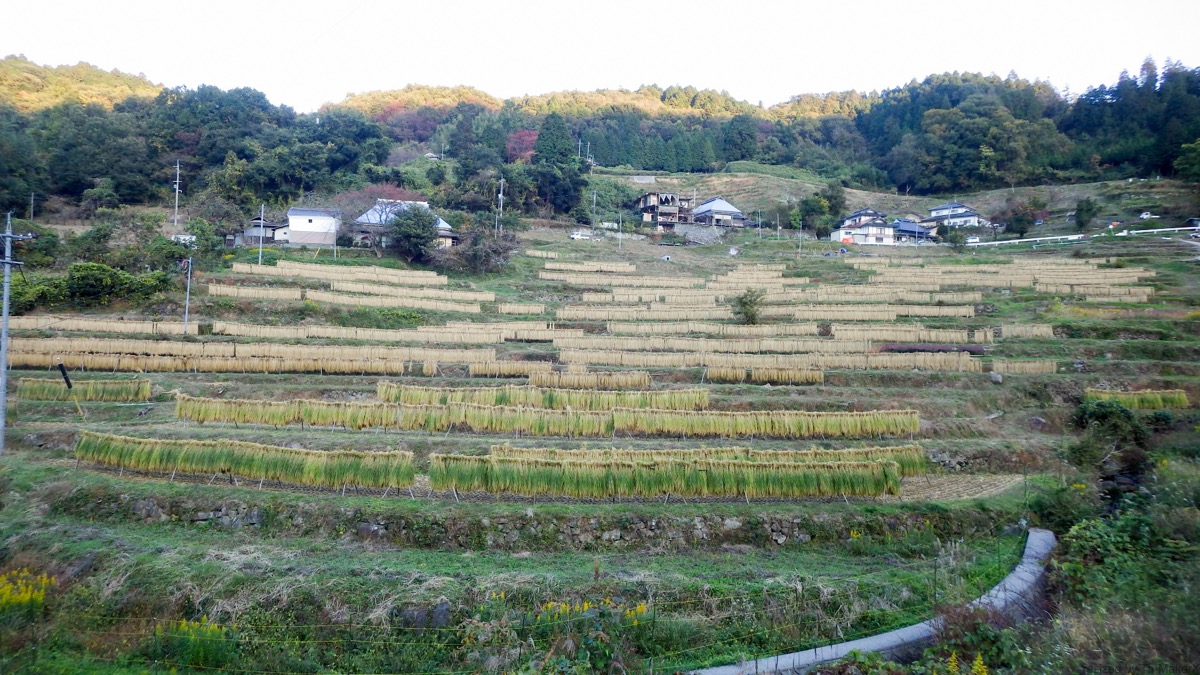 岡山県美作市、上山町