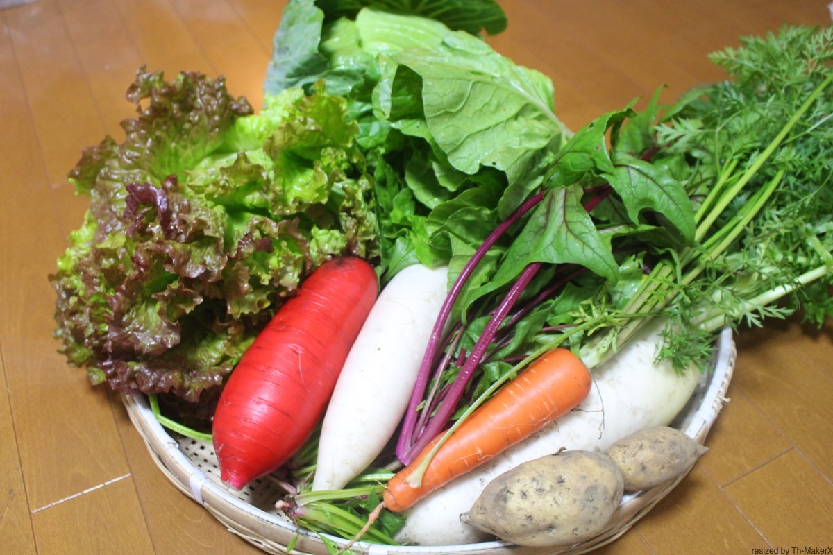 野菜