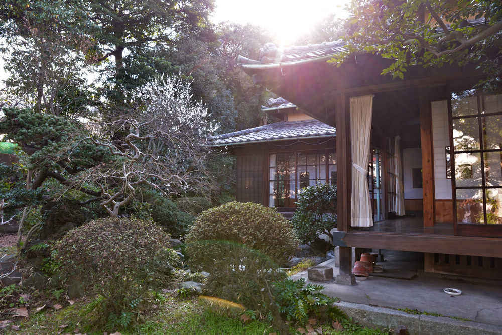 豆松カフェの庭園