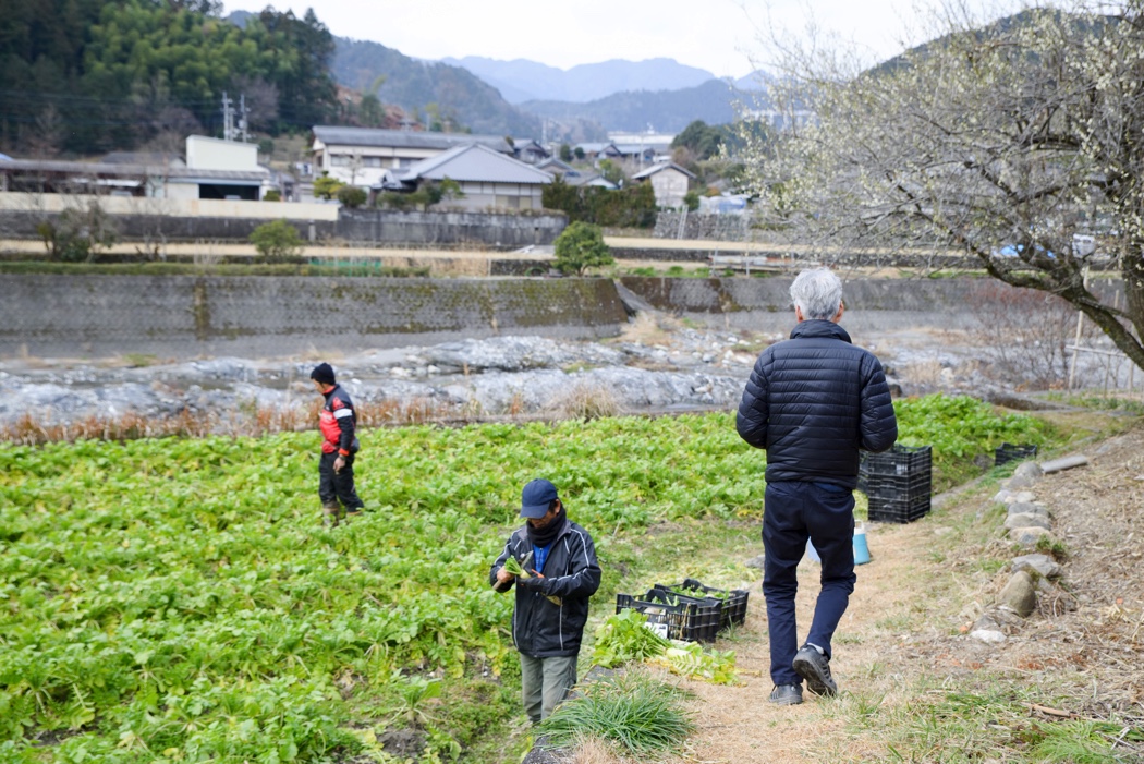 山下農園・山下一穂さん