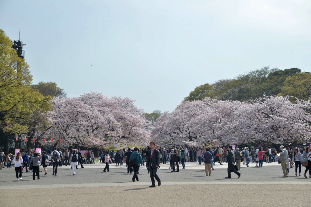 上野公園