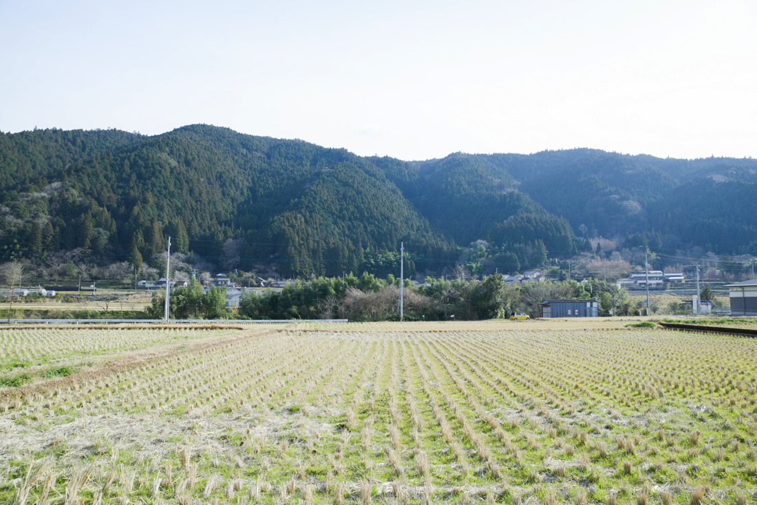 土佐町の田んぼ