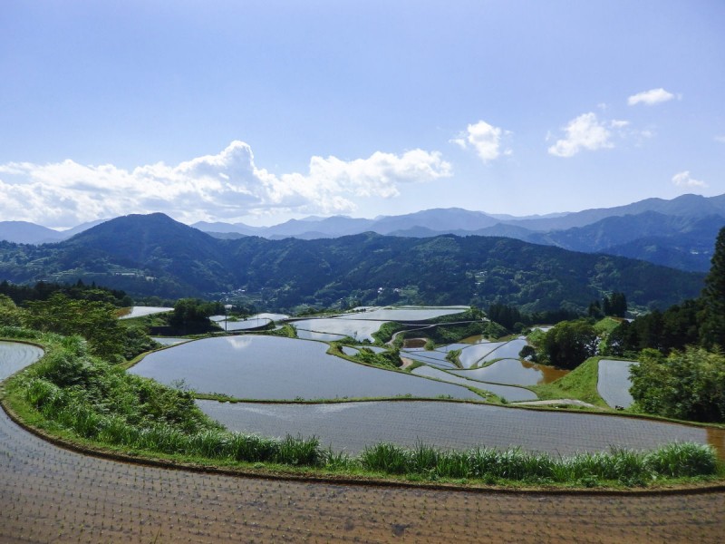高知県土佐町の棚田 高知県土佐町の棚田